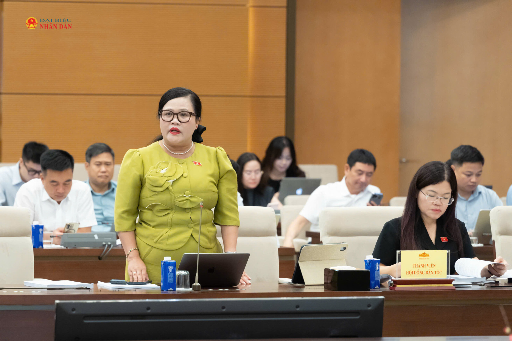 Phó Trưởng Đoàn chuyên trách Đoàn ĐBQH TP. Huế Nguyễn Thị Sửu phát biểu