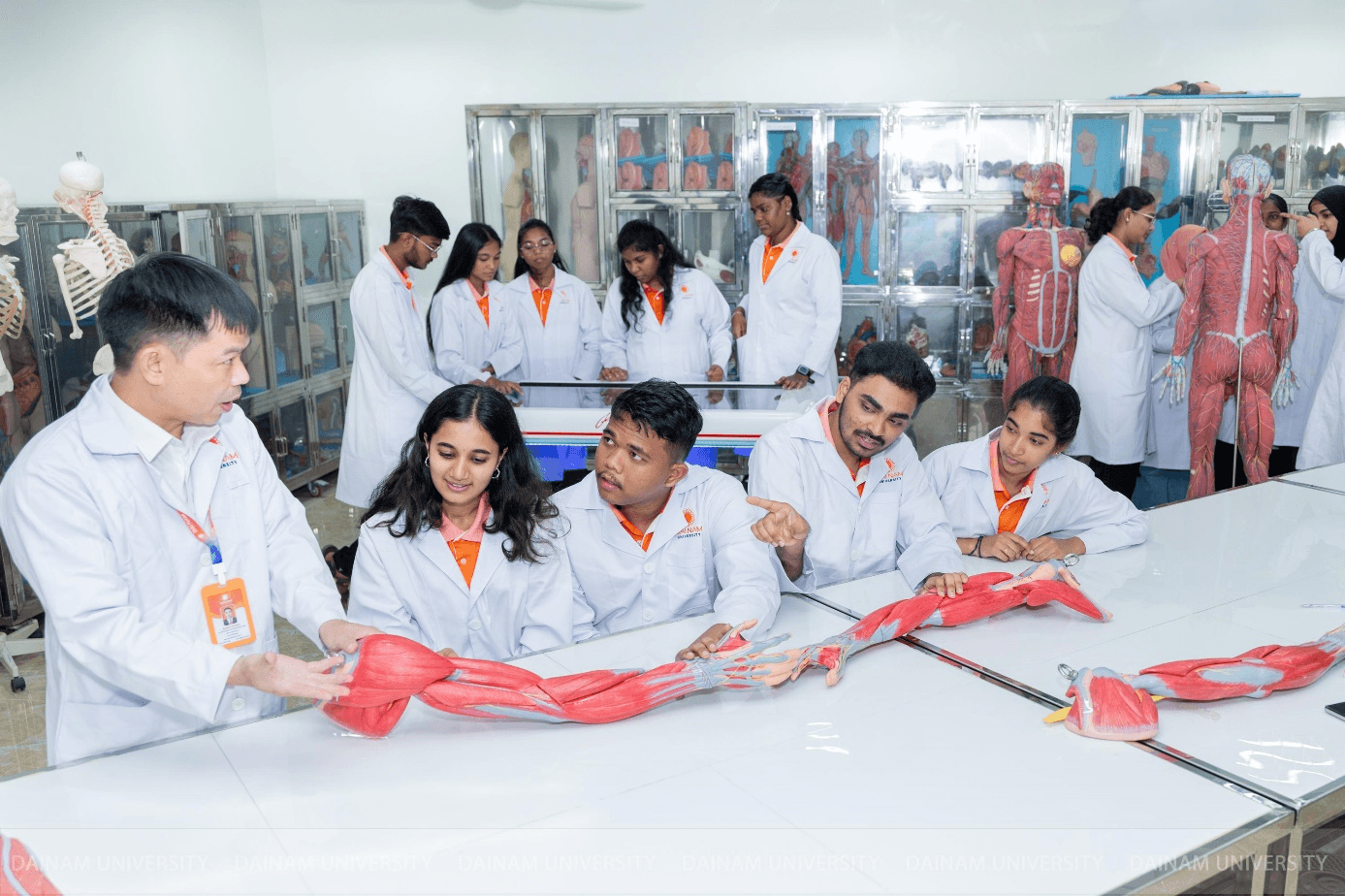 Một tiết học thực hành của sinh viên Y khoa quốc tế DNU. Ảnh DNU