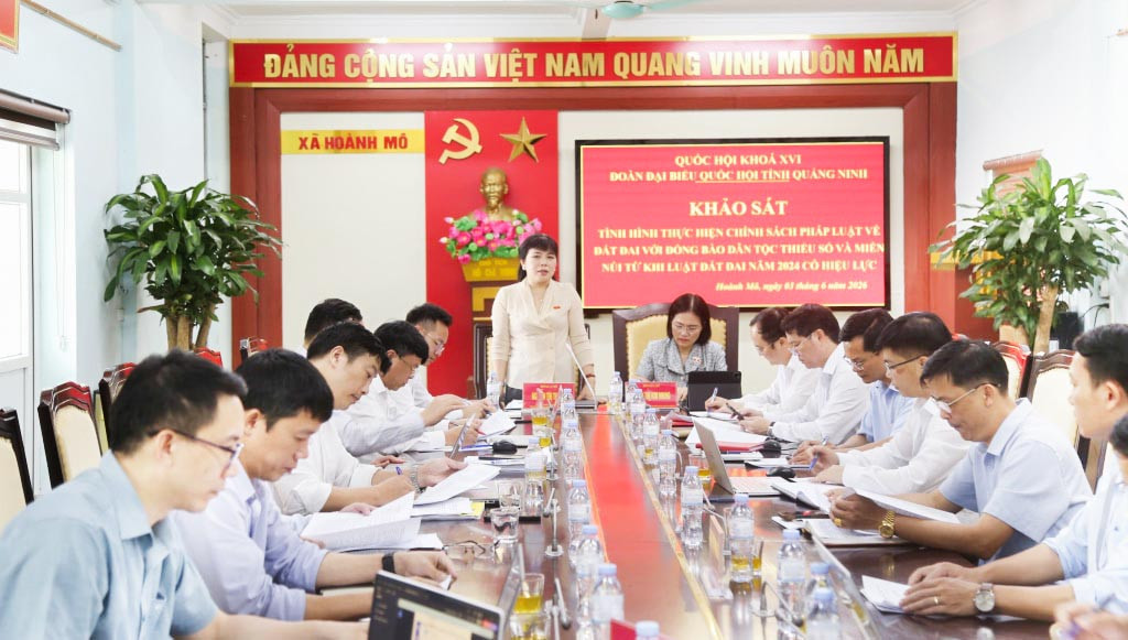 media.baoquangninh.vn-upload-image-202606-medium-_2514858_img_3362_17080403.jpg