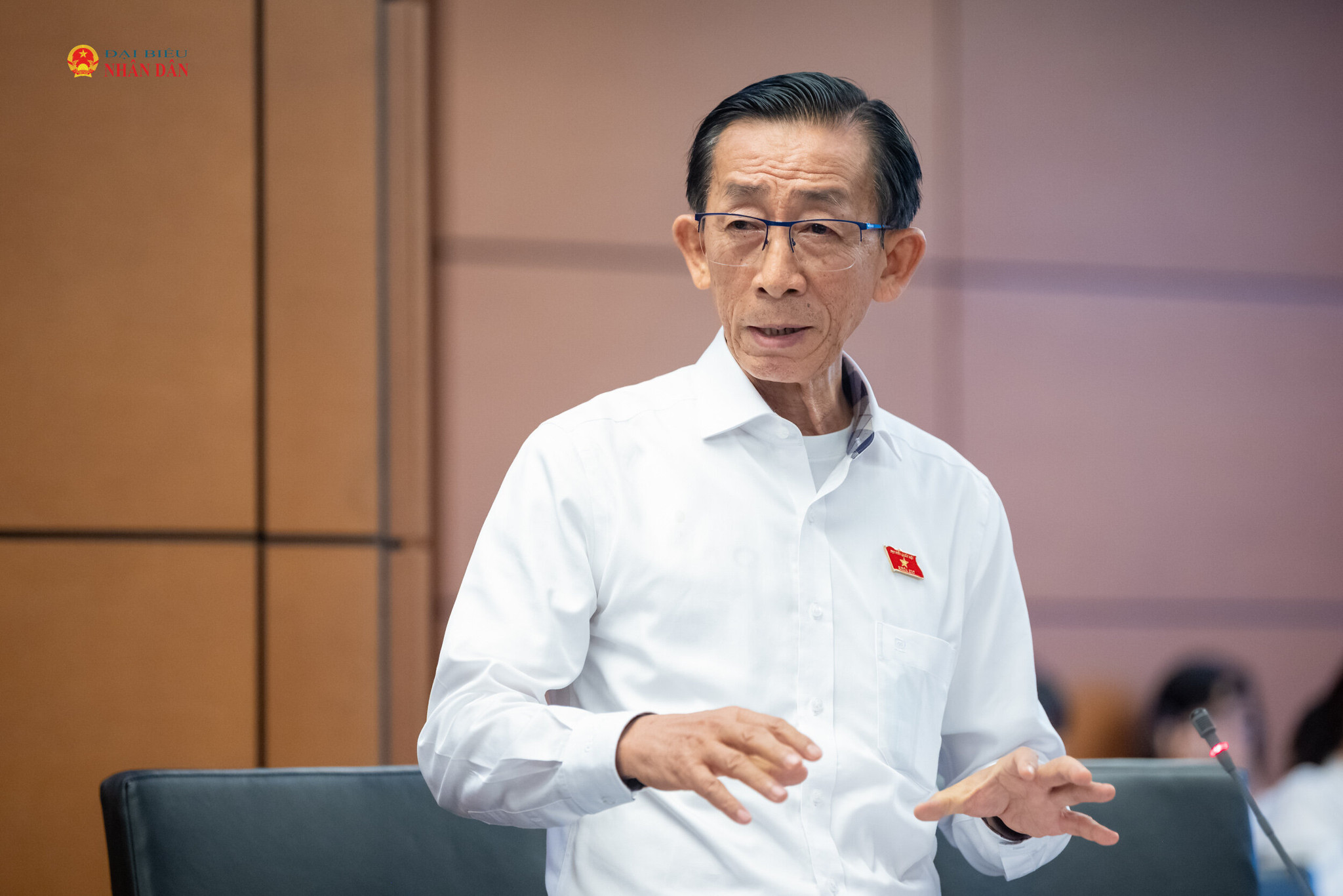 ĐBQH Võ Hoàng Ngân (TP. Hồ Chí Minh) phát biểu
