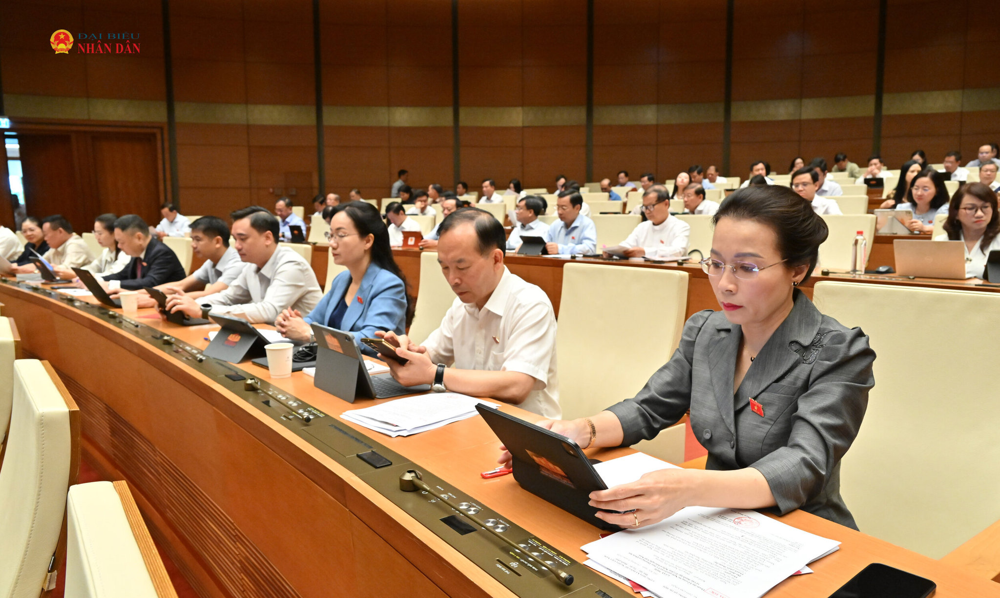 cac-dai-bieu-du-phien-hopvqk_0581.jpg