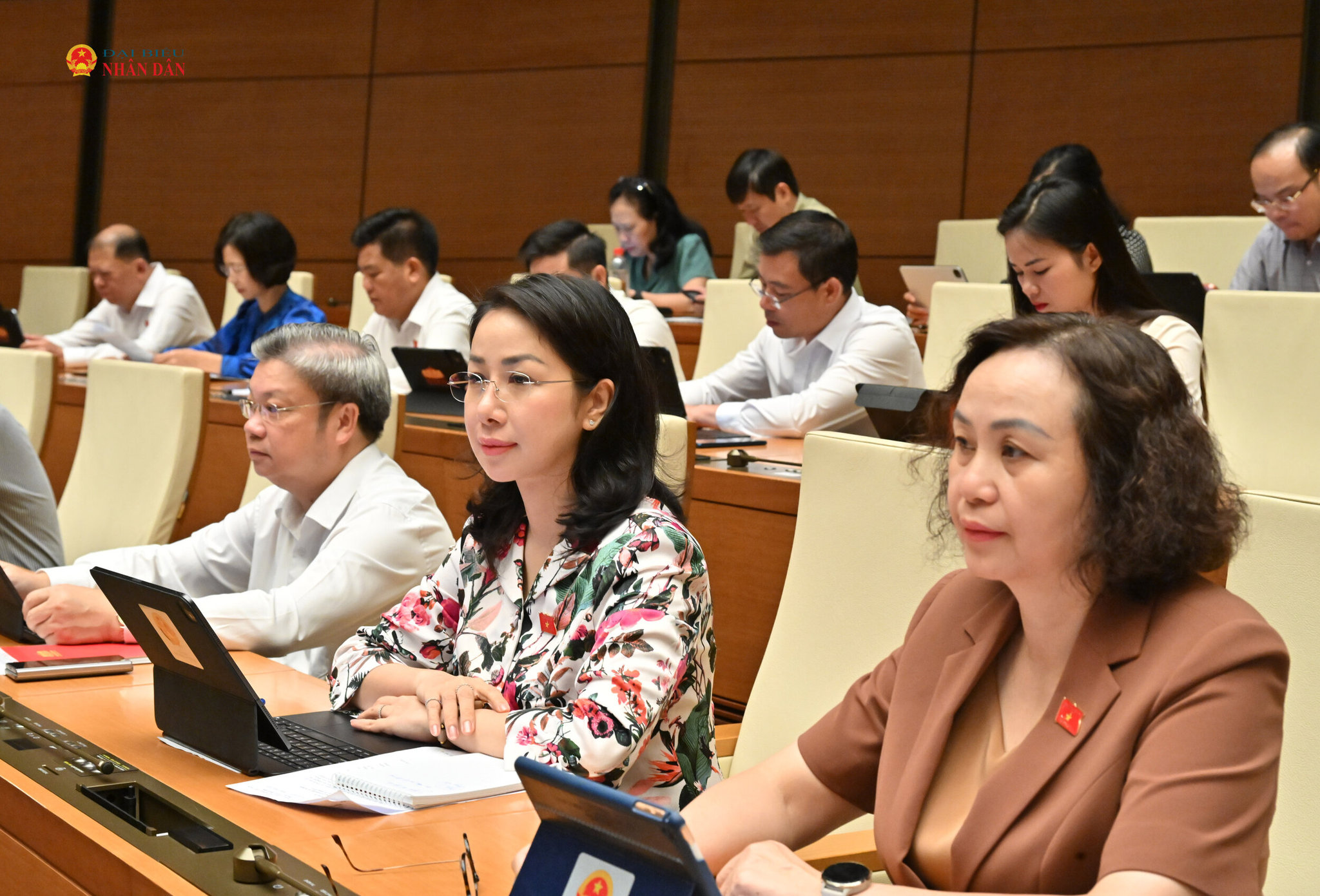 cac-dai-bieu-du-phien-hopvqk_0615.jpg