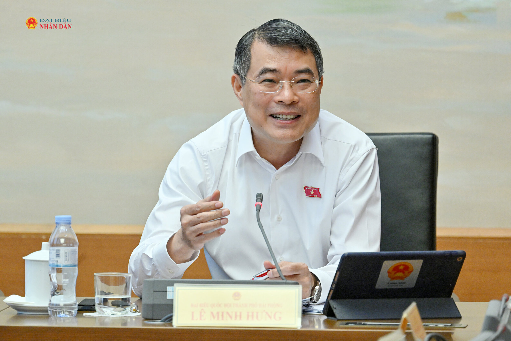 Thủ tướng Chính phủ Lê Minh Hưng phát biểu
