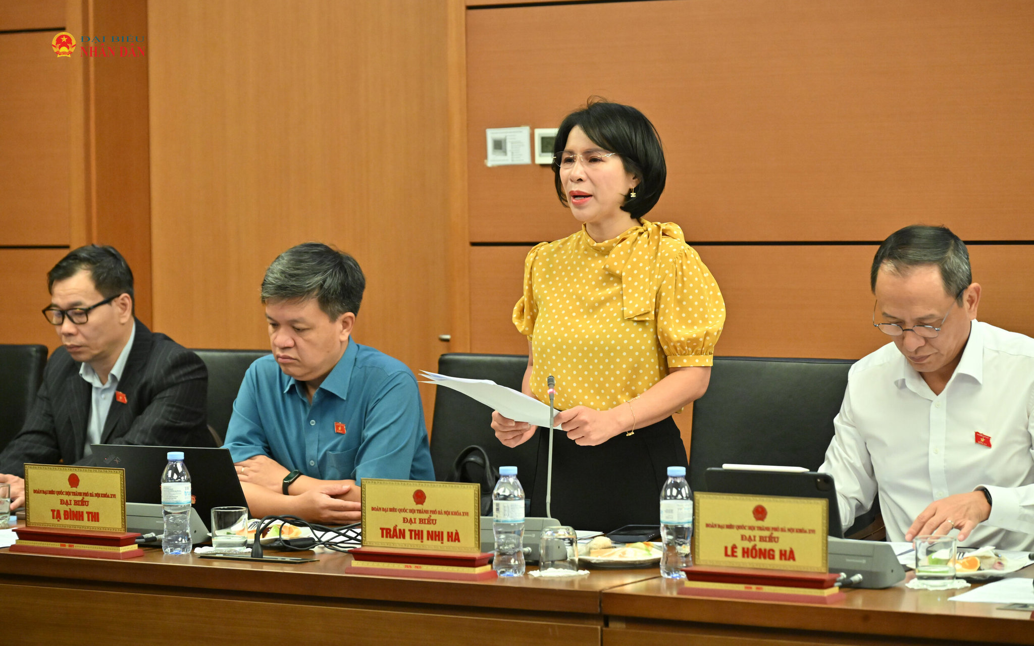 ĐBQH Trần Thị Nhị Hà (TP. Hà Nội)