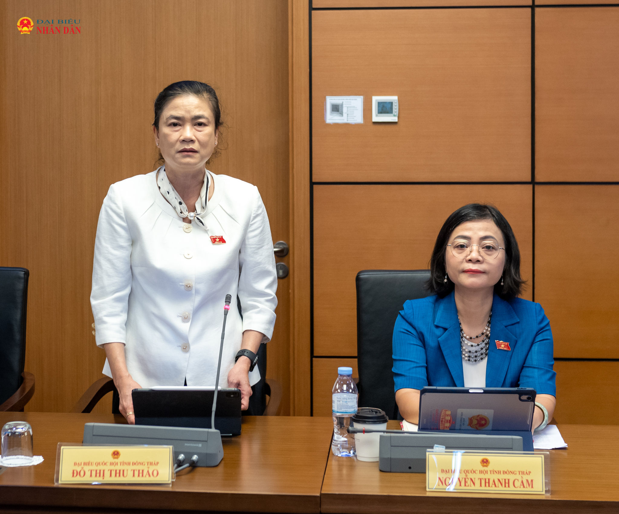 ĐBQH Đỗ Thị Thu Thảo (Đồng Tháp) phát biểu