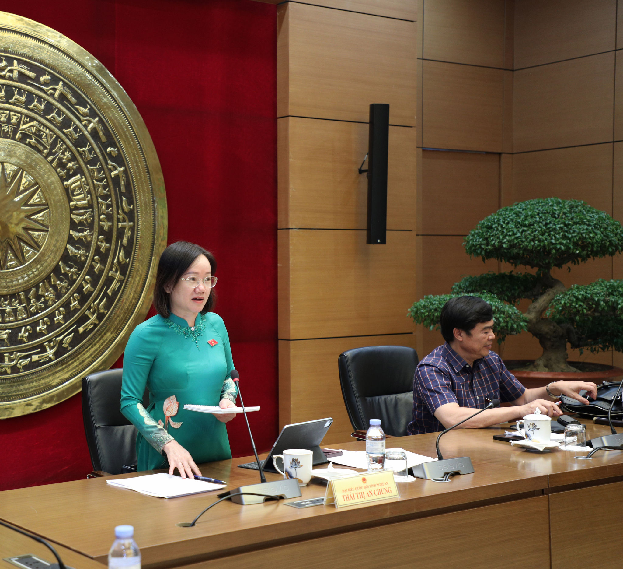 Phó Trưởng Đoàn chuyên trách Đoàn ĐBQH tỉnh Nghệ An Thái Thị An Chung phát biểu