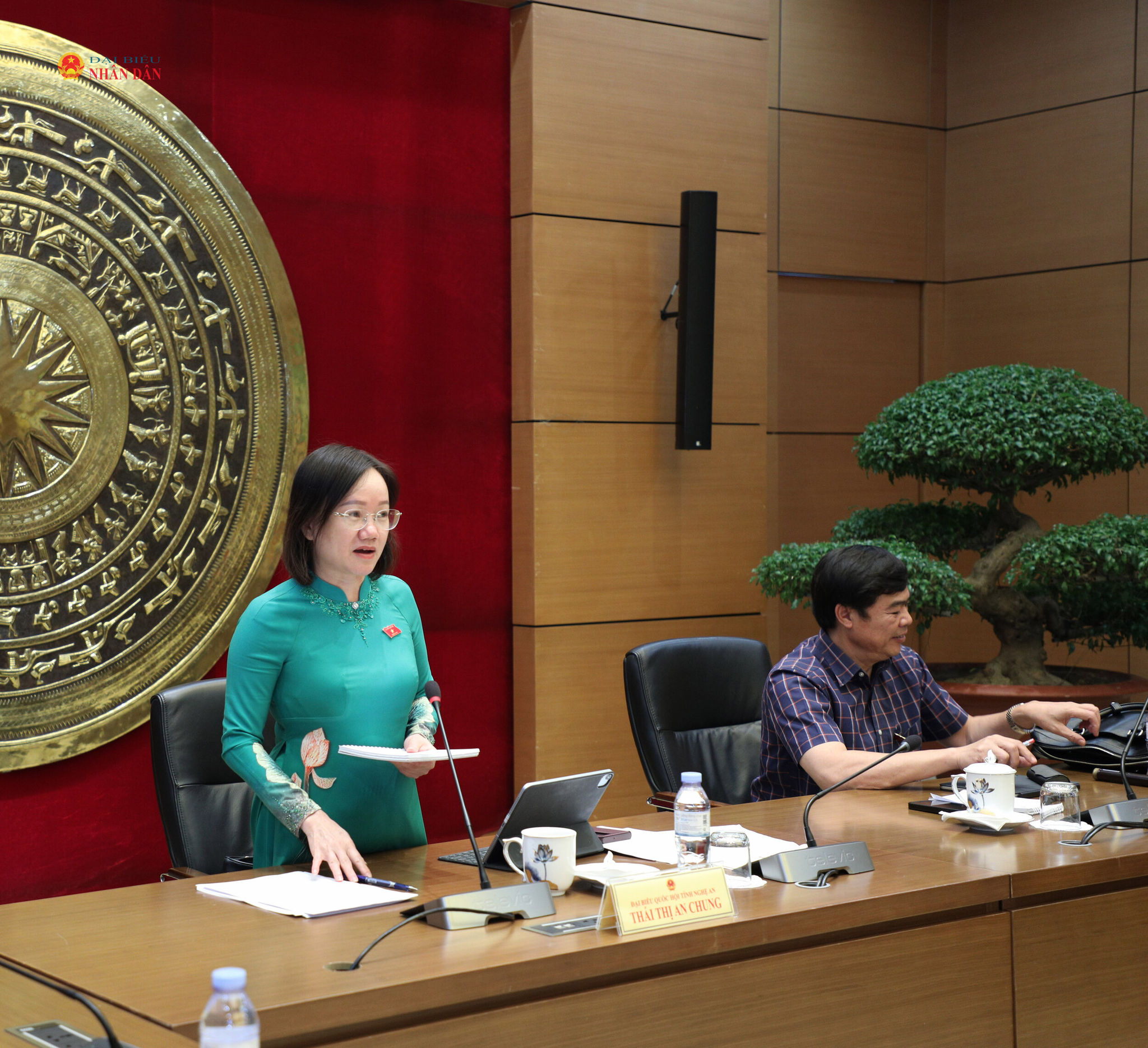 Phó Trưởng Đoàn chuyên trách Đoàn ĐBQH tỉnh Nghệ An Thái Thị An Chung phát biểu