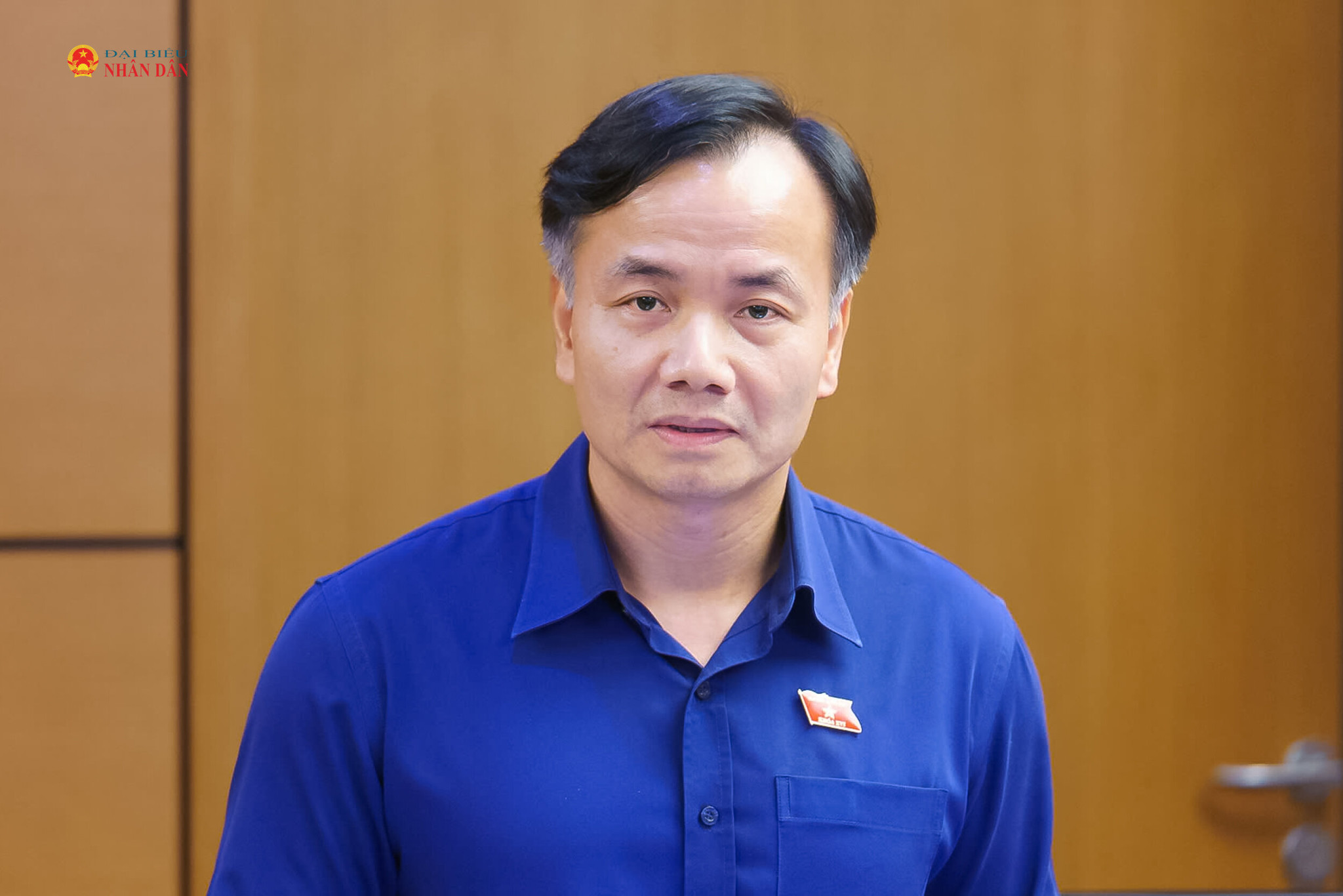 ĐBQH Trần Hoài Nam (Cà Mau) phát biểu thảo luận tại tổ 8