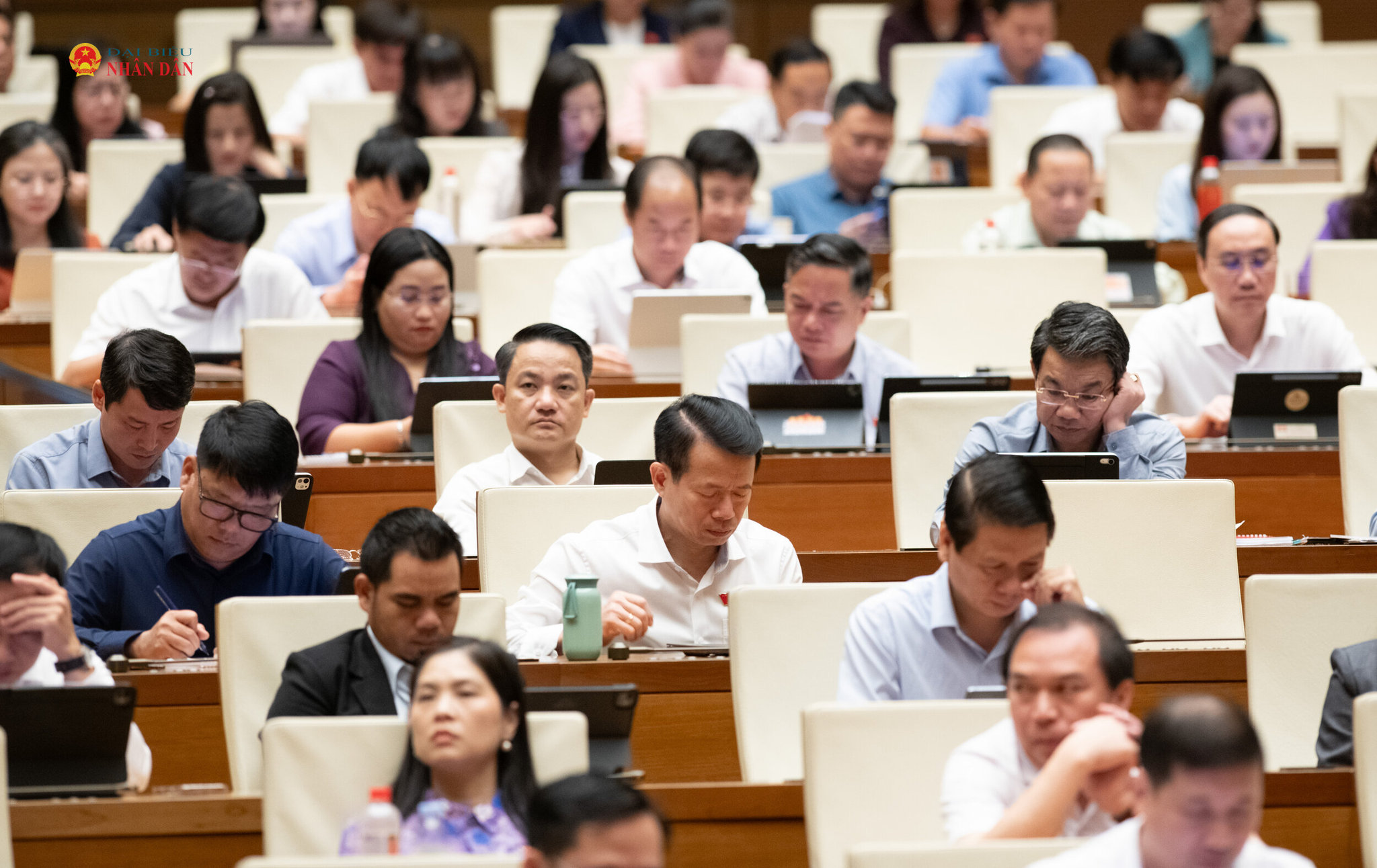 Các đại biểu tham dự phiên họp.2