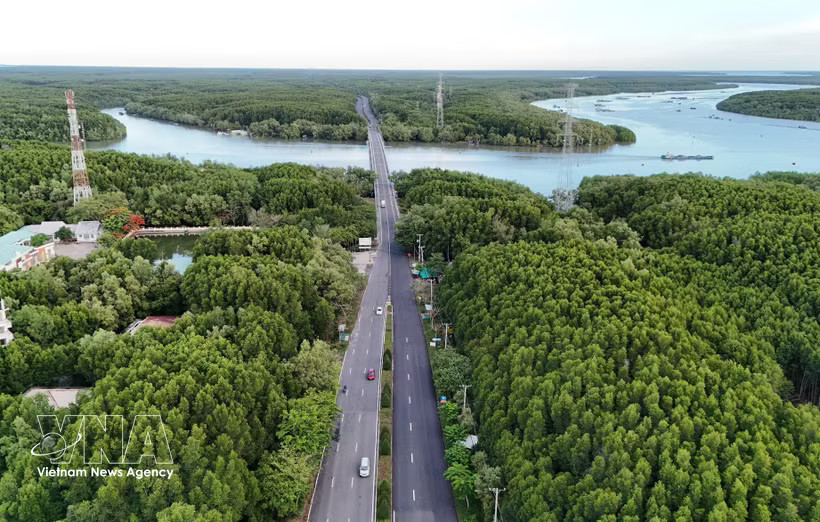 Can Gio protective forest spans four communes — Can Gio, Binh Khanh, An Thoi Dong and Thanh An of Ho Chi Minh City - creating potential for the development of the carbon credit market. (Photo: VNA)