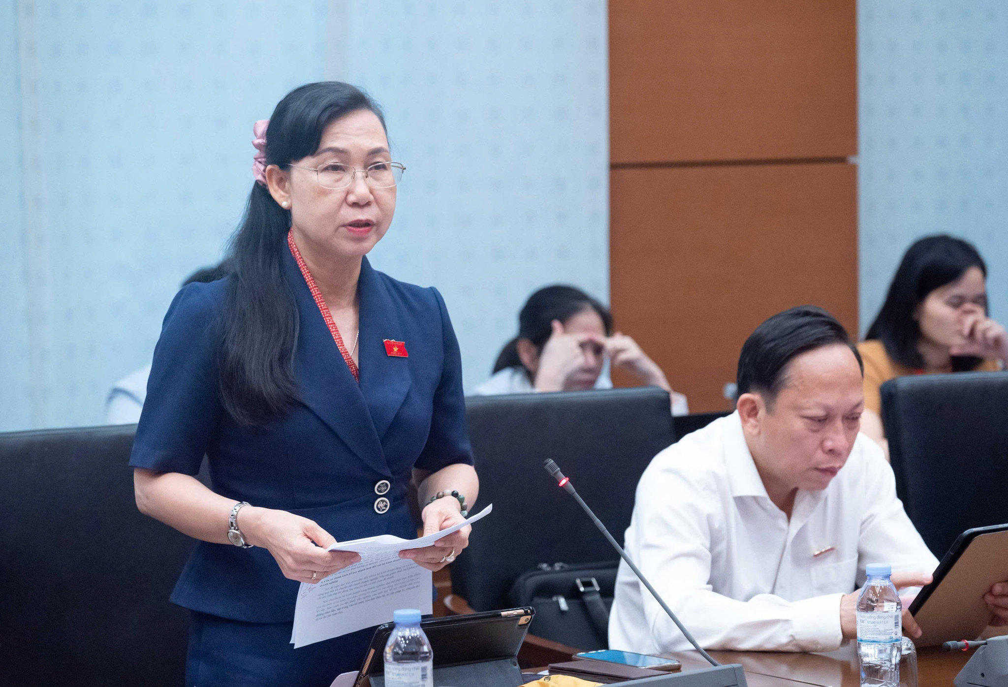 ĐBQH Phan Thị Mỹ Dung (Tây Ninh) phát biểu