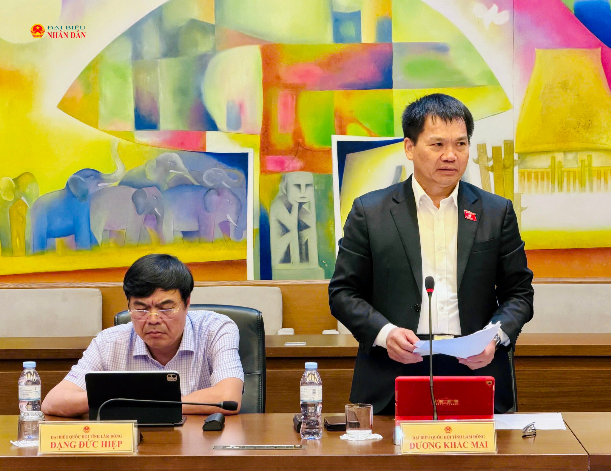 ĐBQH Dương Khắc Mai (Lâm Đồng) phát biểu