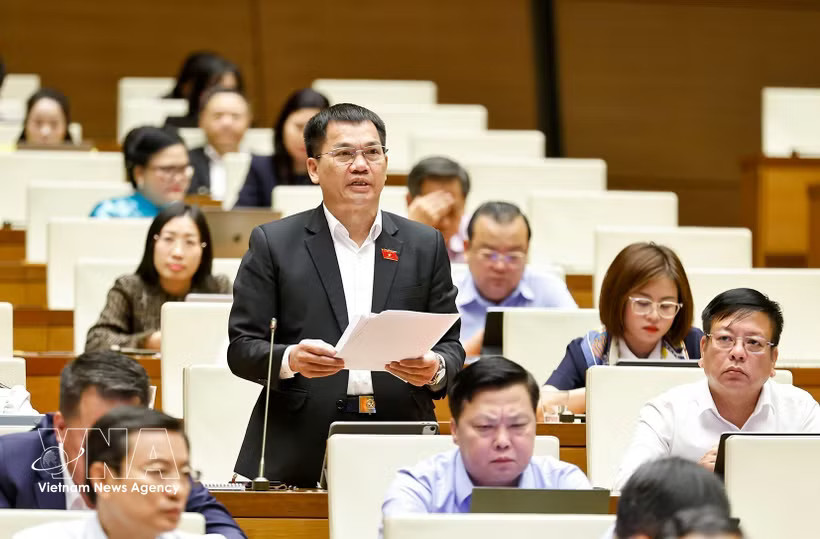 Deputy Duong Khac Mai from Lam Dong province speaks at the session. (Photo: VNA)