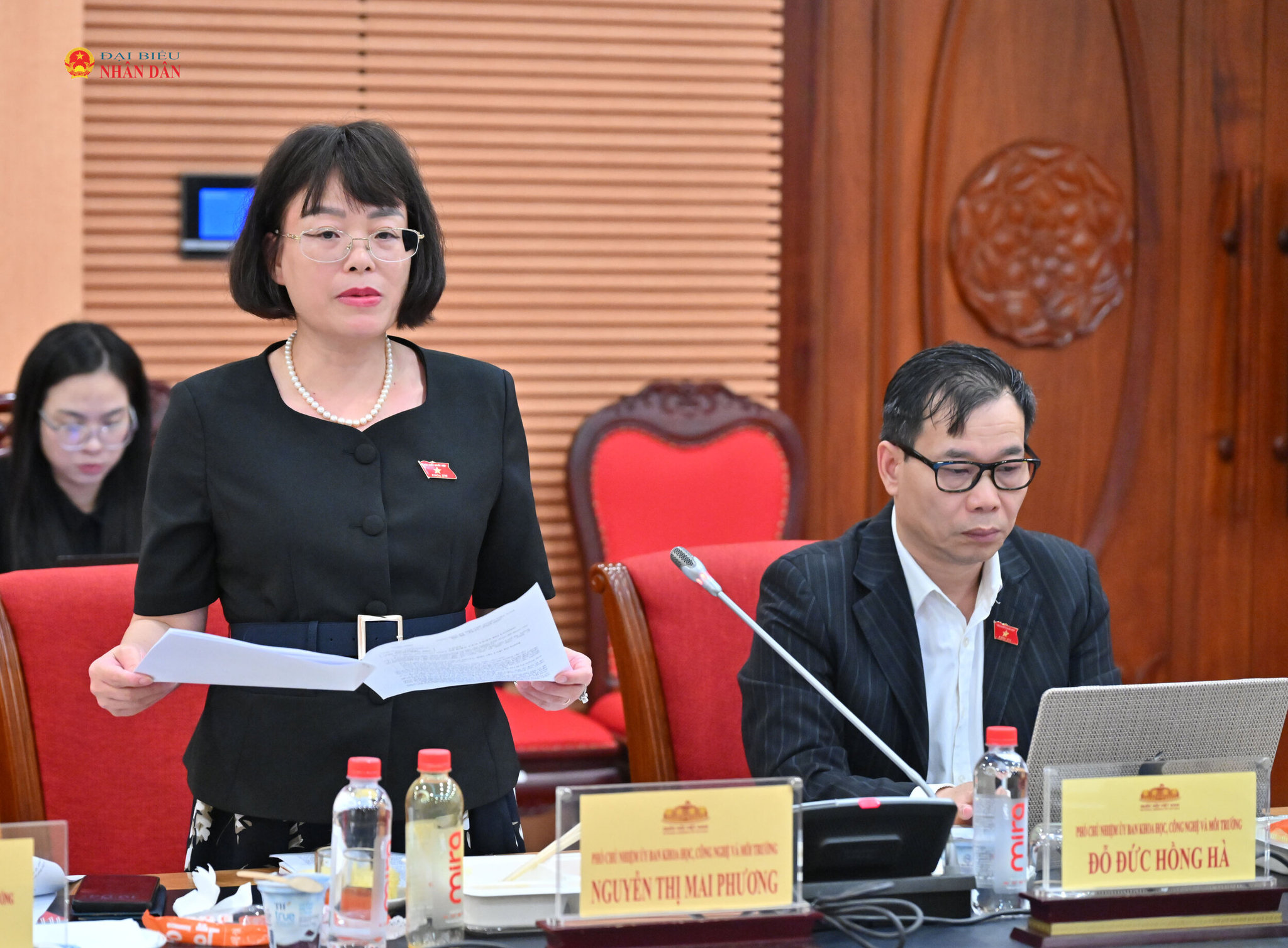 Phó Chủ nhiệm Ủy ban Khoa học, Công nghệ và Môi trường Nguyễn Thị Mai Phương