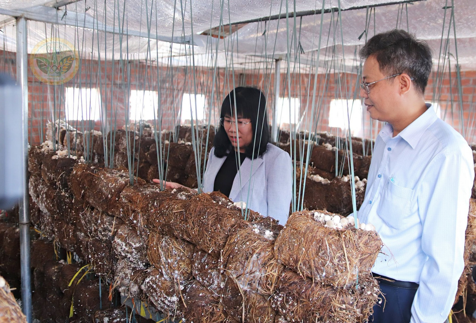 Thanh Hậu bài 1