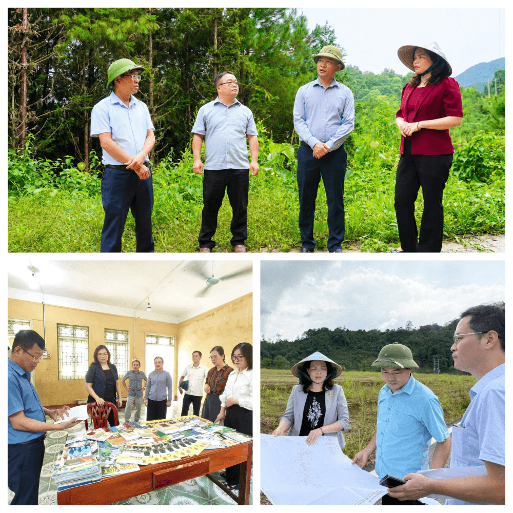 Tổ khảo sát đến kiểm tra tại các công trình, dự án, khu đất có vướng mắc trên đại bàn các xã