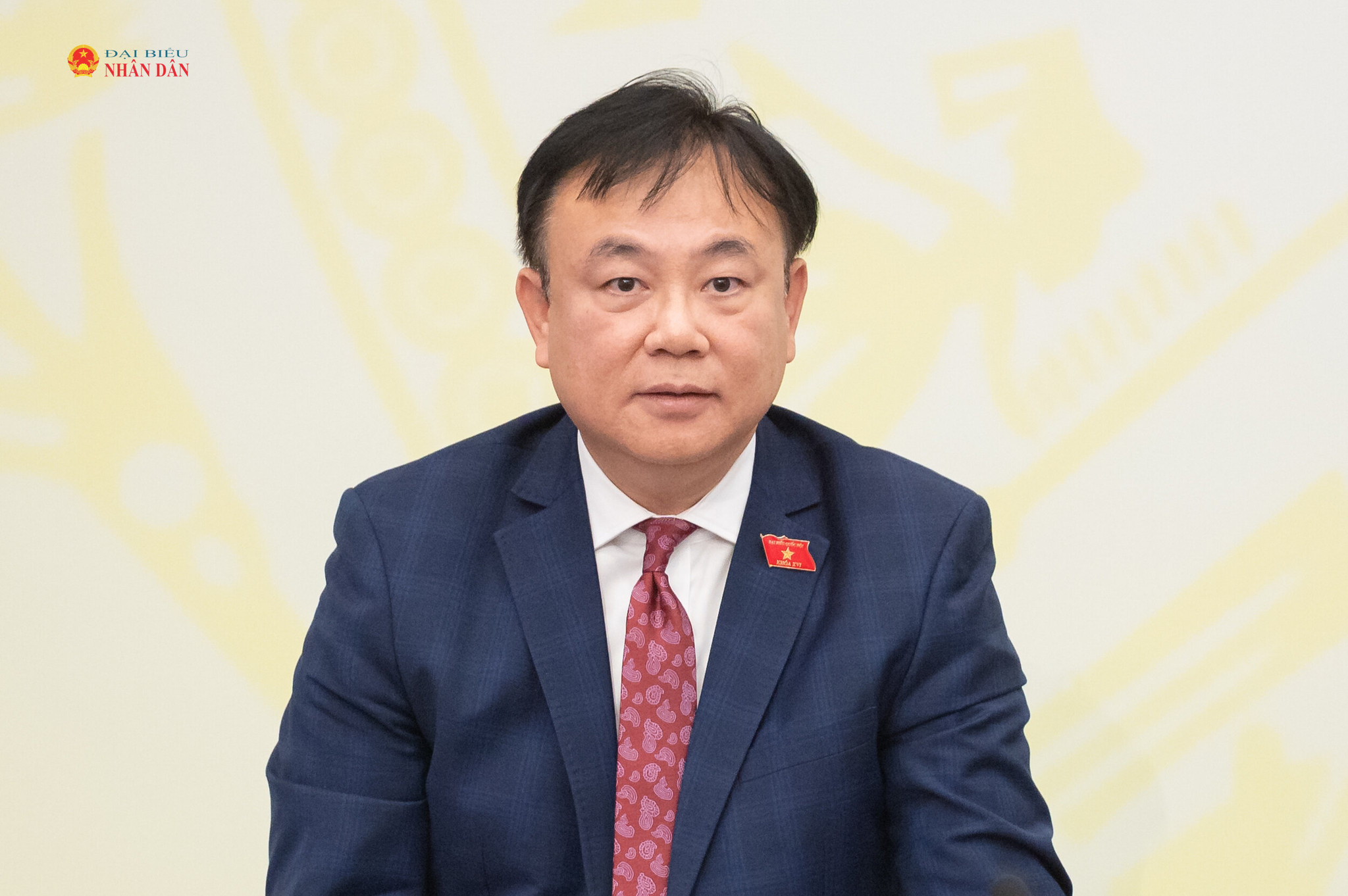 ĐBQH hoạt động chuyên trách tại Ủy ban Pháp luật và Tư pháp Nguyễn Công Long trả lời câu hỏi của phóng viên