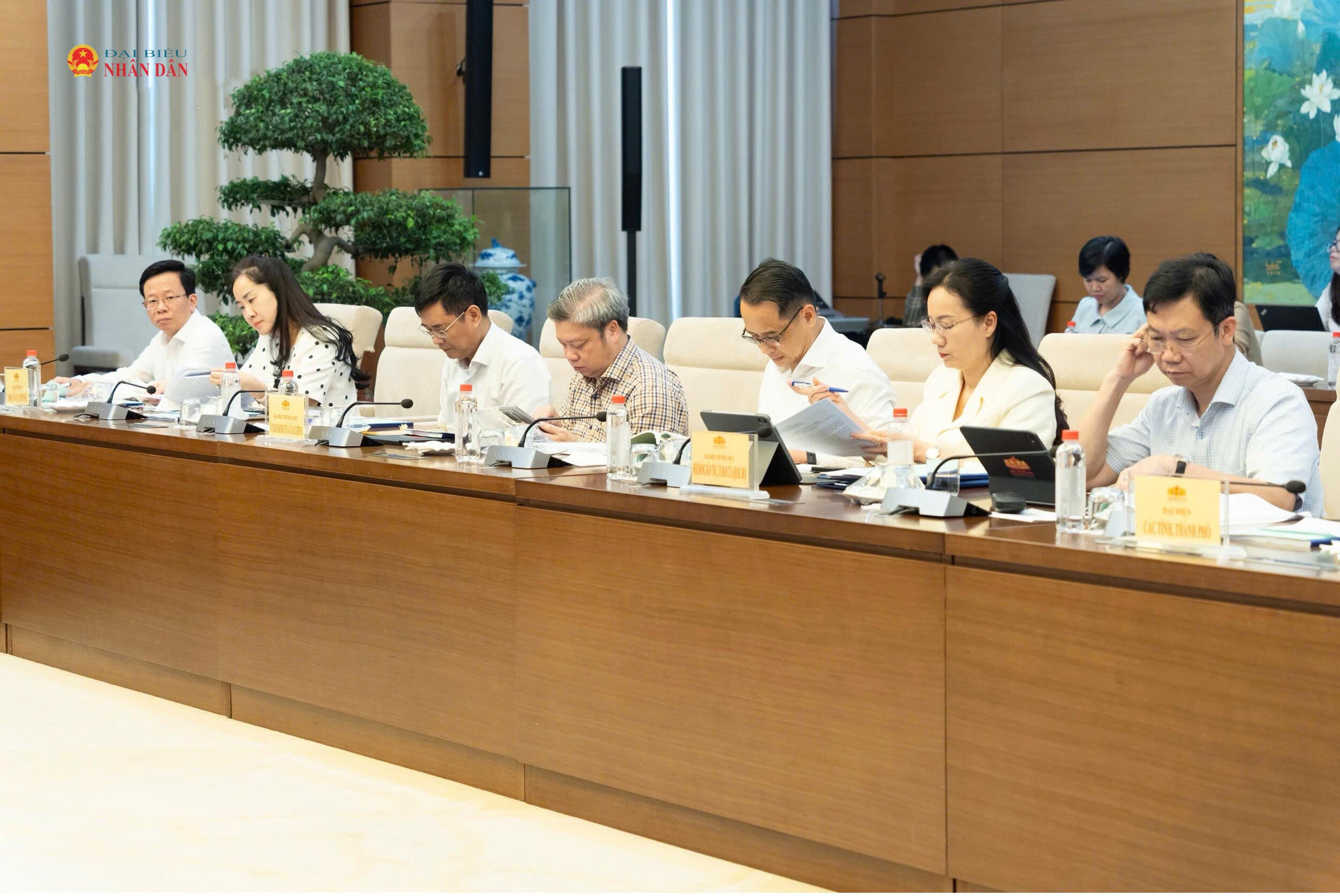 Các đại biểu dự 1