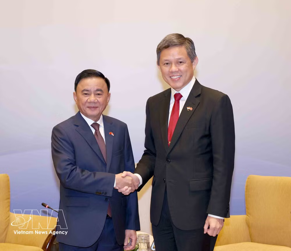 Chan Chun Sing (right), Assistant Secretary-General of Singapore’s People’s Action Party, Coordinating Minister for Public Services and Minister for Defence, welcomes Member of the Political Bureau and Standing Member of the Secretariat of the Communist Party of Vietnam Central Committee Tran Cam Tu. (Photo: VNA) vnanet-potal-le-don-uy-vien-bo-chinh-tri-thuong-truc-ban-bi-thu-tran-cam-tu-tham-chinh-thuc-singapore-8979392.jpg