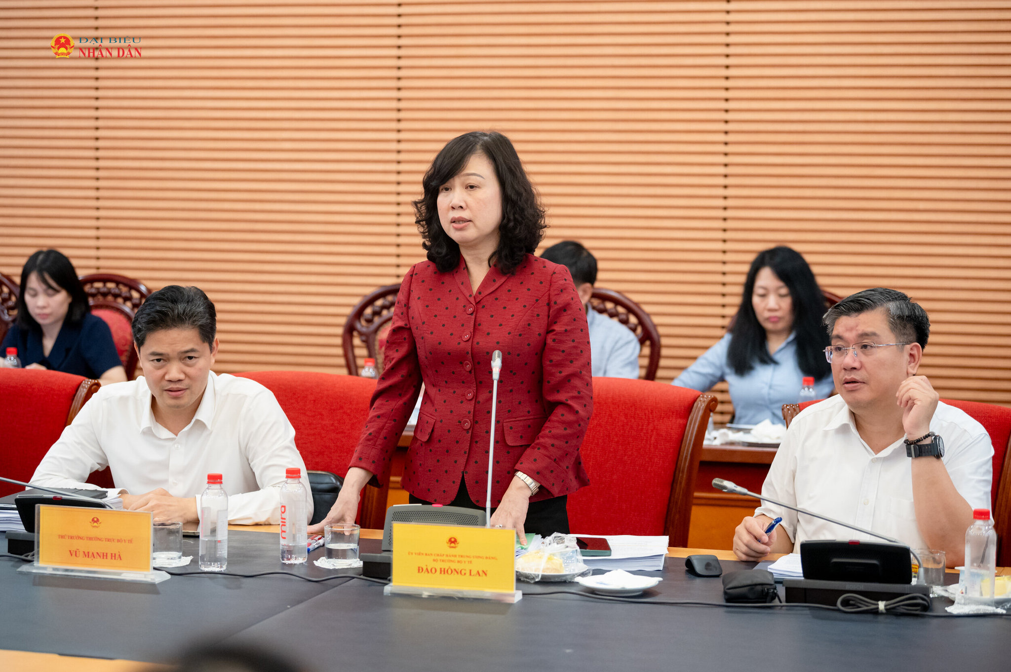 Bộ trưởng Bộ Y tế Đào Hồng Lan phát biểu