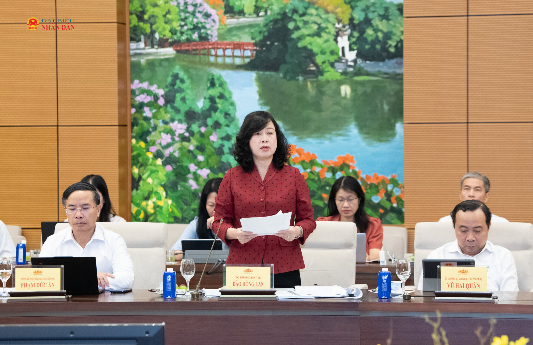 Bộ trưởng Bộ Y tế Đào Hồng Lan
