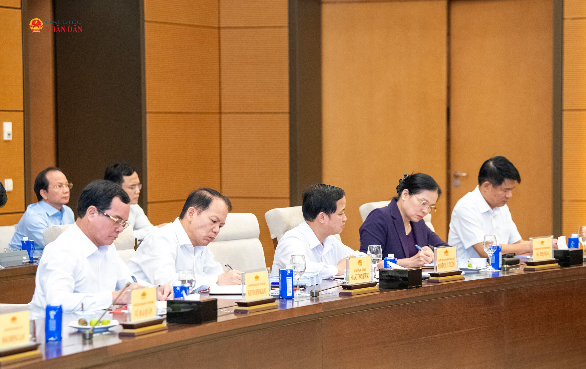 Các đại biểu tham dự phiên họp.2