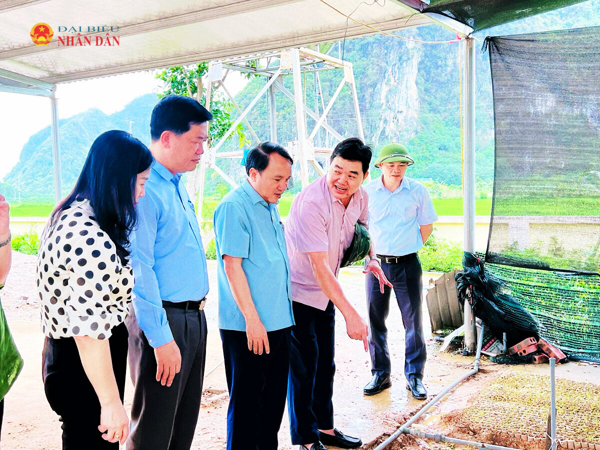 Đoàn khảo sát tại Ban Quản lý Rừng phòng hộ Tây Nam Nghệ An