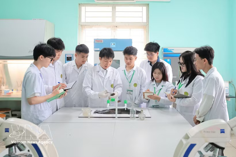 A lecturer guides students on how to diagnose diseases in aquatic animals. (Photo: VNA)