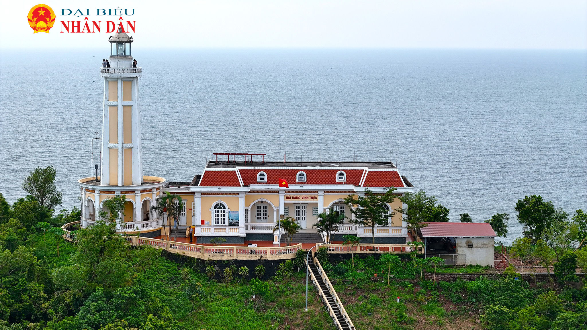 ngon Hai Dang_dao Vinh Thuc_2026 (4)