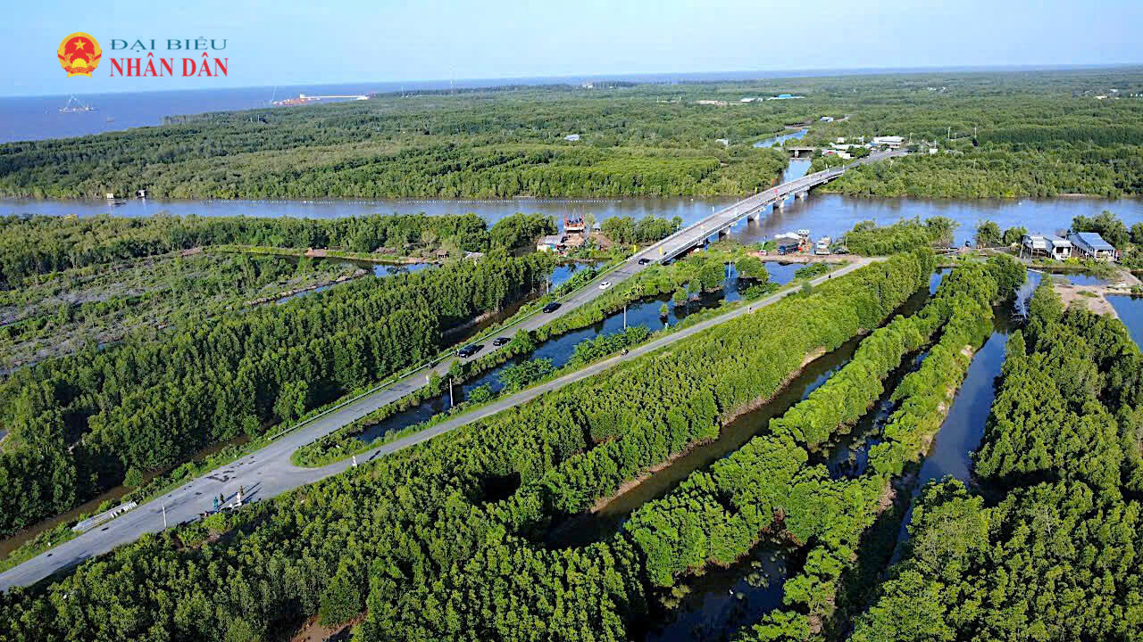 Rừng- hữu Tùng