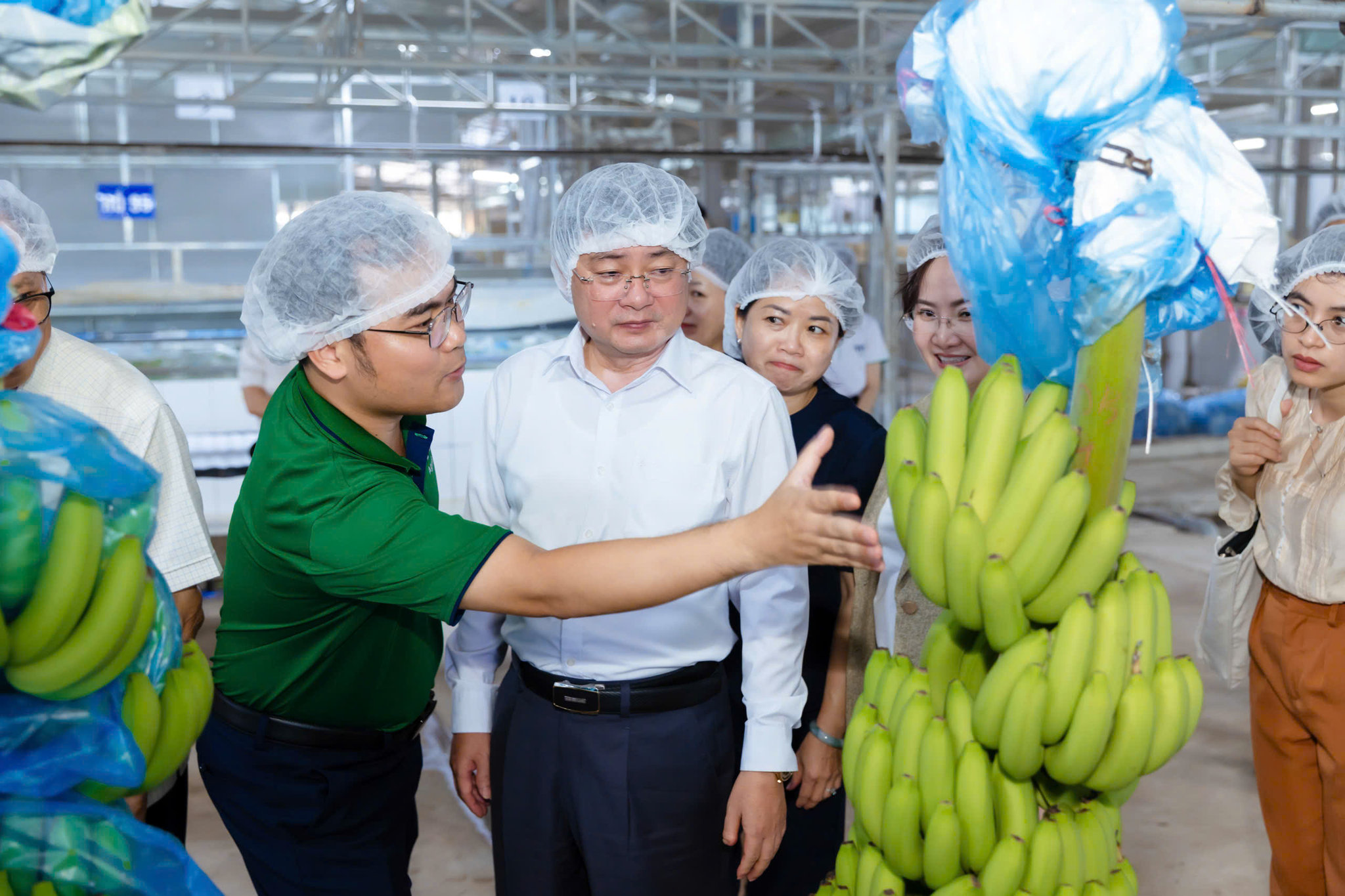 Lãnh đạo tỉnh Tây Ninh khảo sát mô hình nông nghiệp công nghệ cao của AgriS tại Nông trường chuối Thành Long AgriS, tháng 6/2026