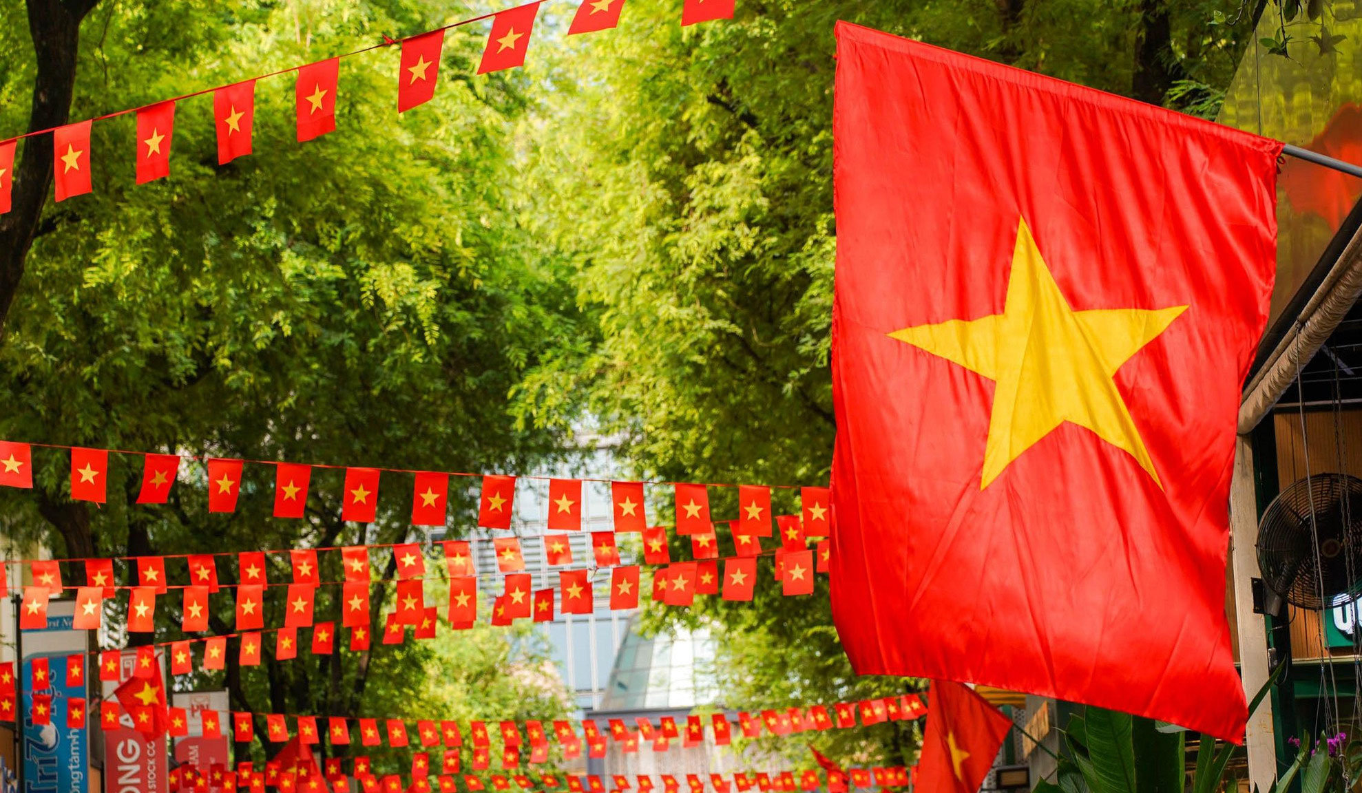 Rực rỡ cờ hoa chào mừng Quốc khánh