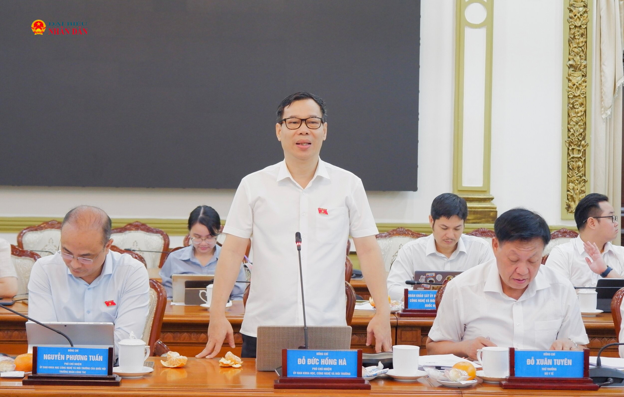 Phó Chủ nhiệm Ủy ban Khoa học, Công nghệ và Môi trường Đỗ Đức Hồng Hà phát biểu