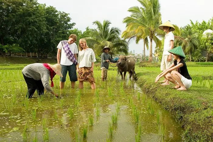 Du lịch nông nghiệp gắn với văn hóa là hướng đi phù hợp với lợi thế và điều kiện phát triển du lịch bền vững
