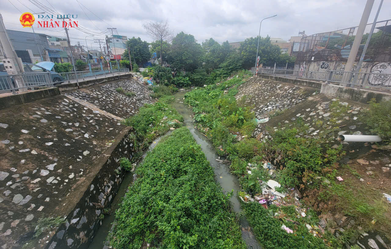 Một tuyến kênh đầy cỏ dại, rác thải tại khu vực nút giao đường Bế Văn Đàn - Trần Thị Vững thuộc khu vực giáp ranh giữa phường Dĩ An (khu vực phường An Bình cũ) và phường Tam Bình