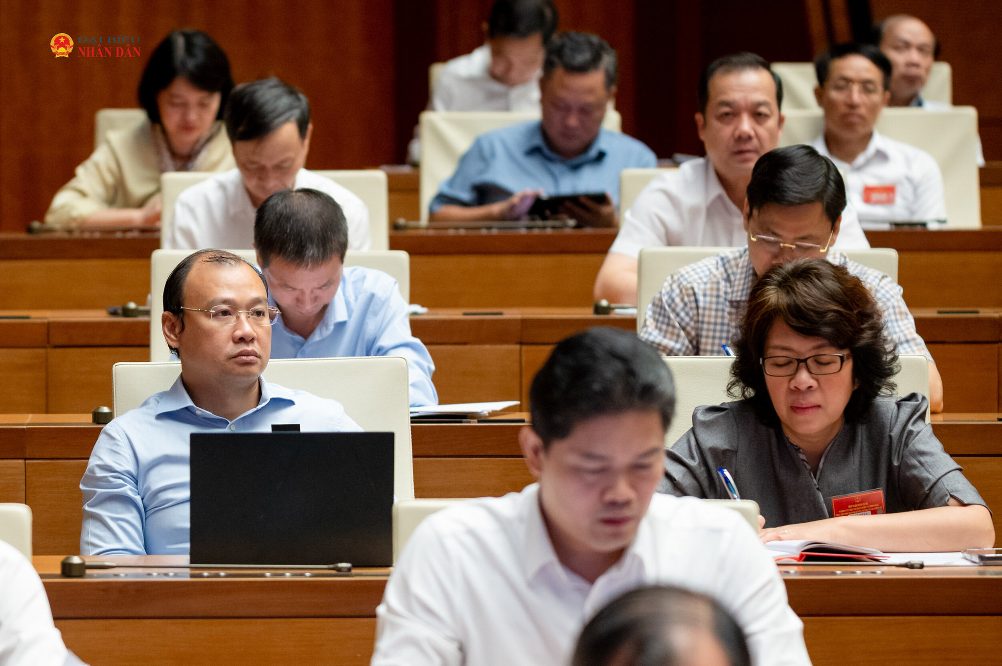 Các đại biểu dự hội nghị