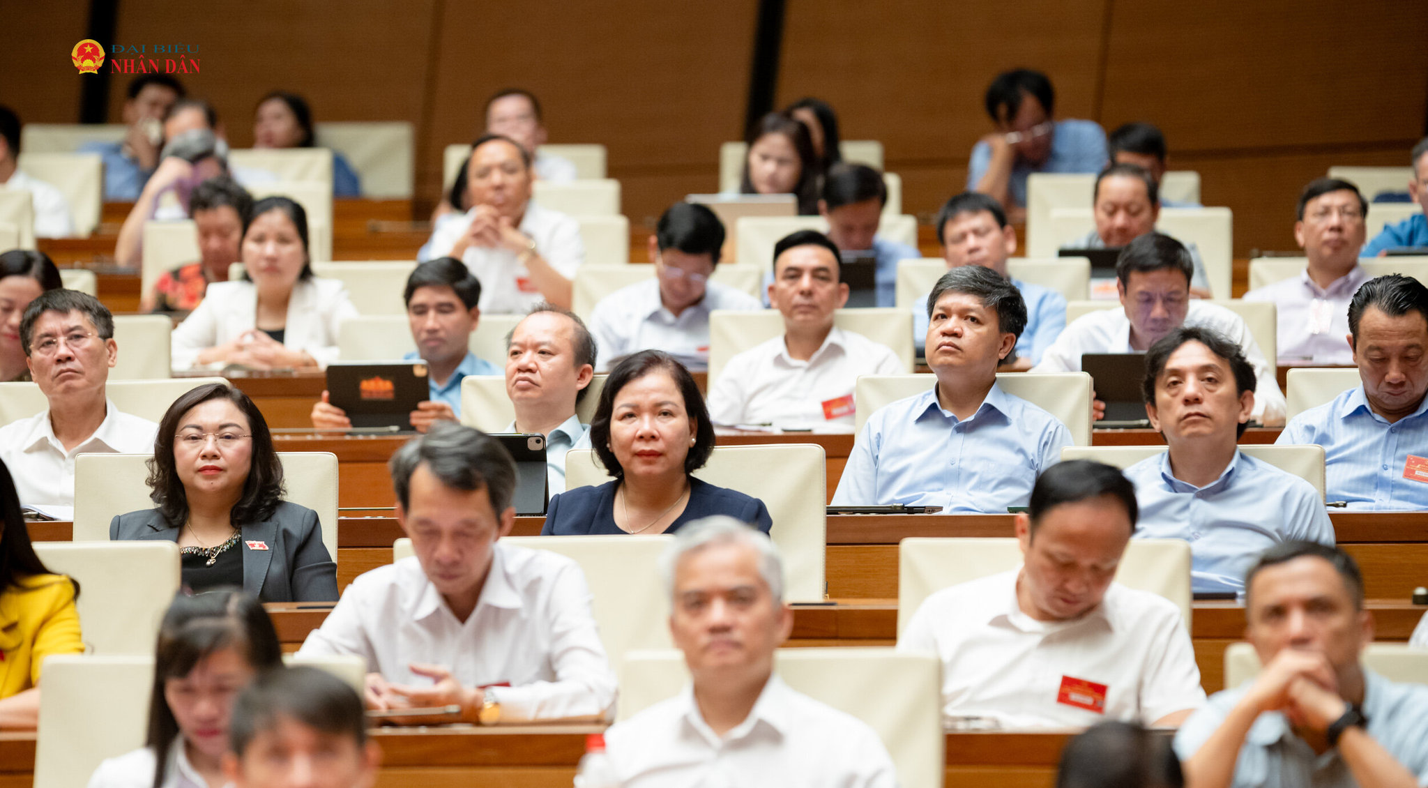 Các đại biểu dự hội nghị