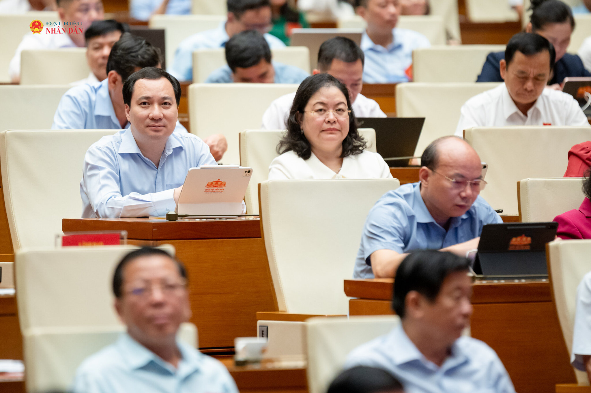 Các đại biểu tham dự hội nghị