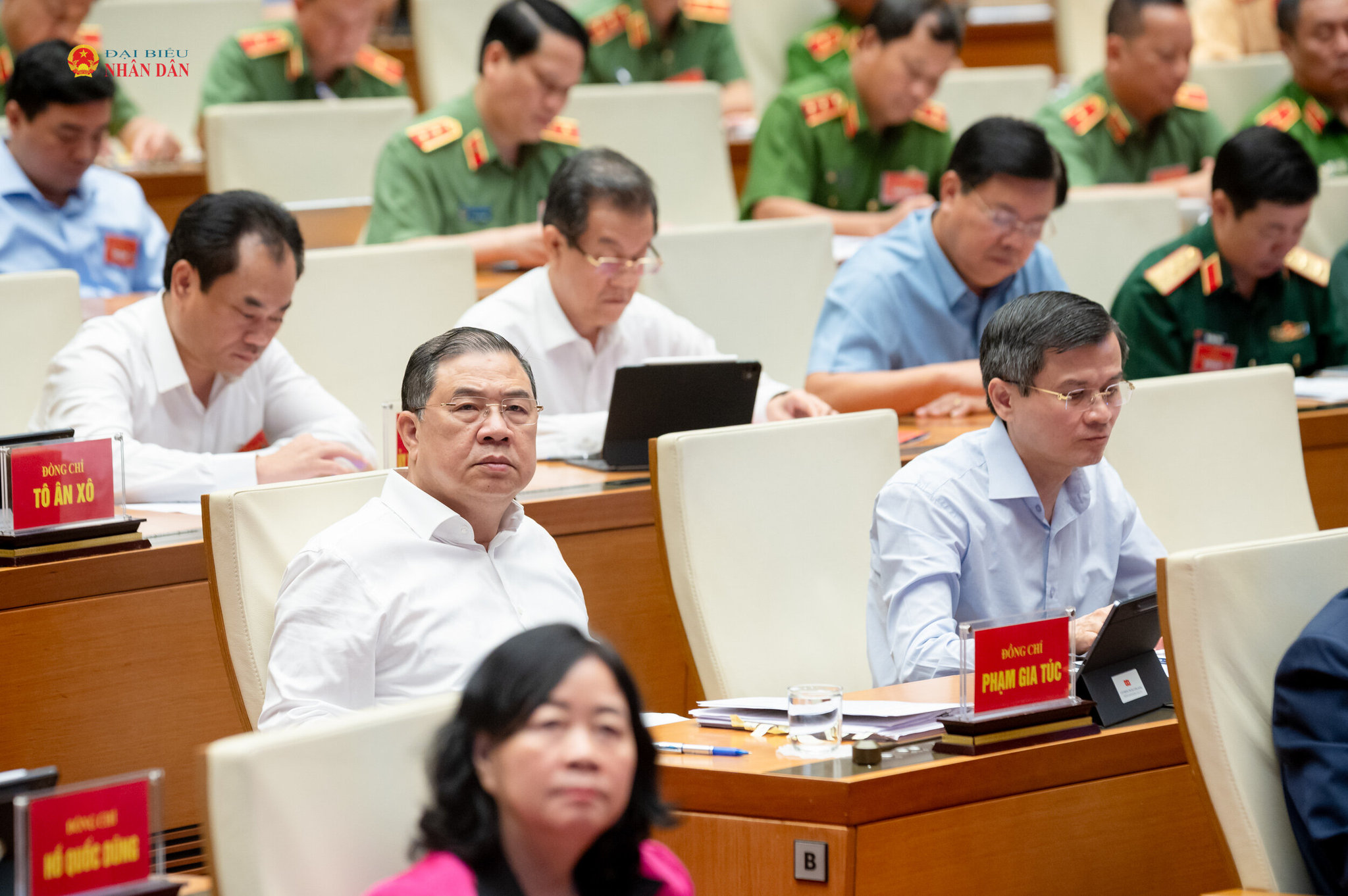 Các đại biểu tham dự hội nghị