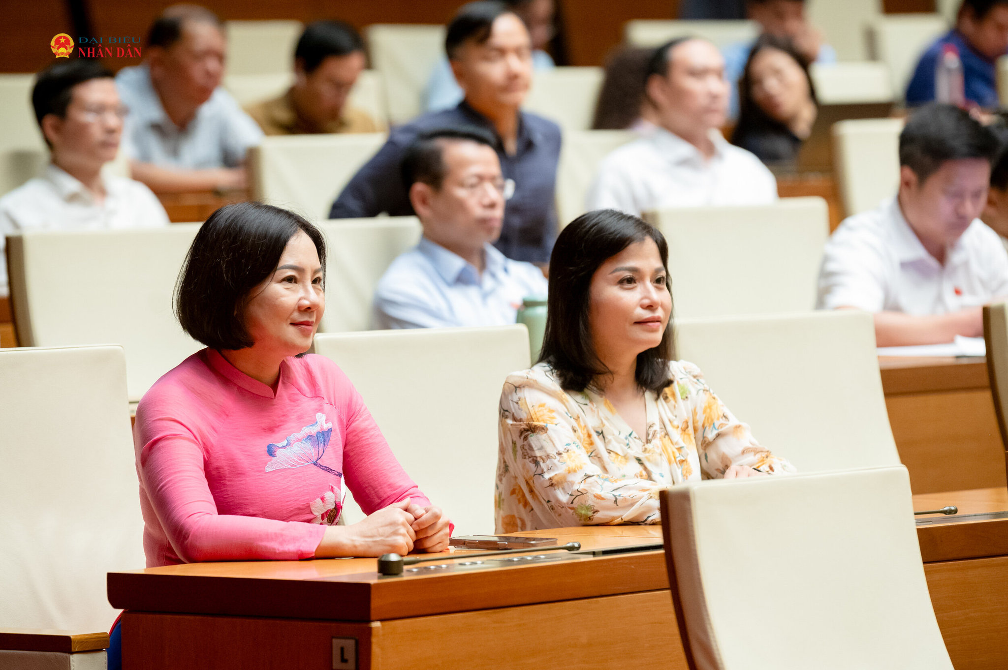 Các đại biểu dự hội nghị