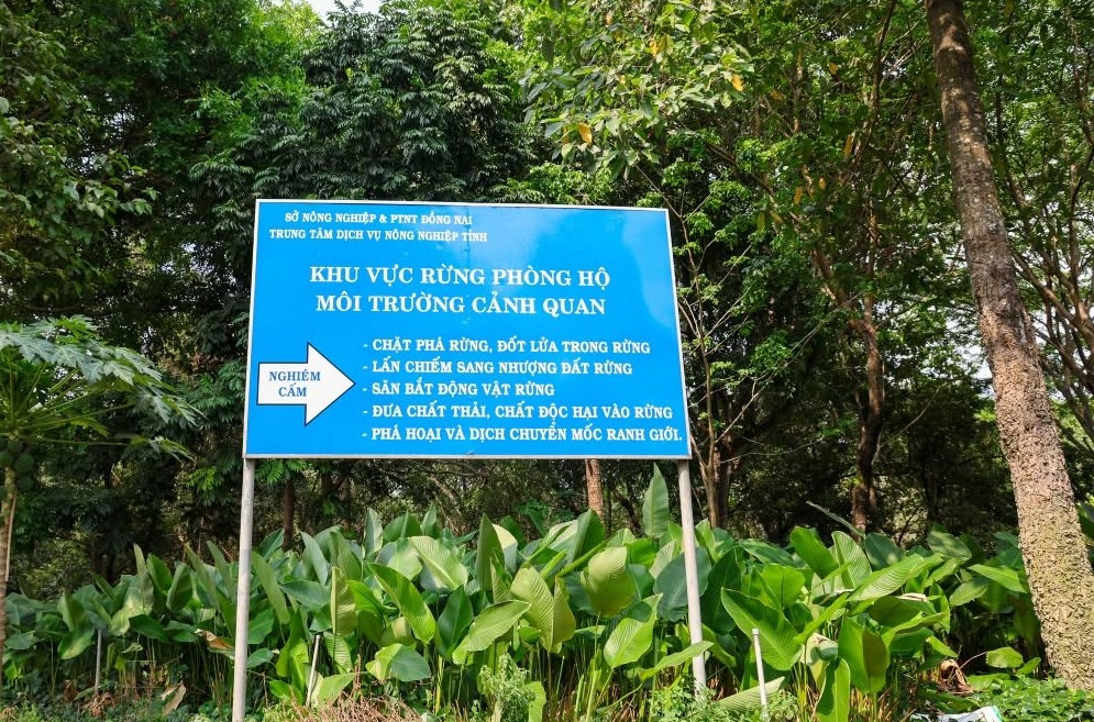 Bài 2 Sau sáp nhập, TP. Đồng Nai quản lý hơn 370.020 ha rừng và đất lâm nghiệp, trở thành địa phương có diện tích rừng lớn nhất Đông Nam Bộ-Ảnh (Anh Tuấn)