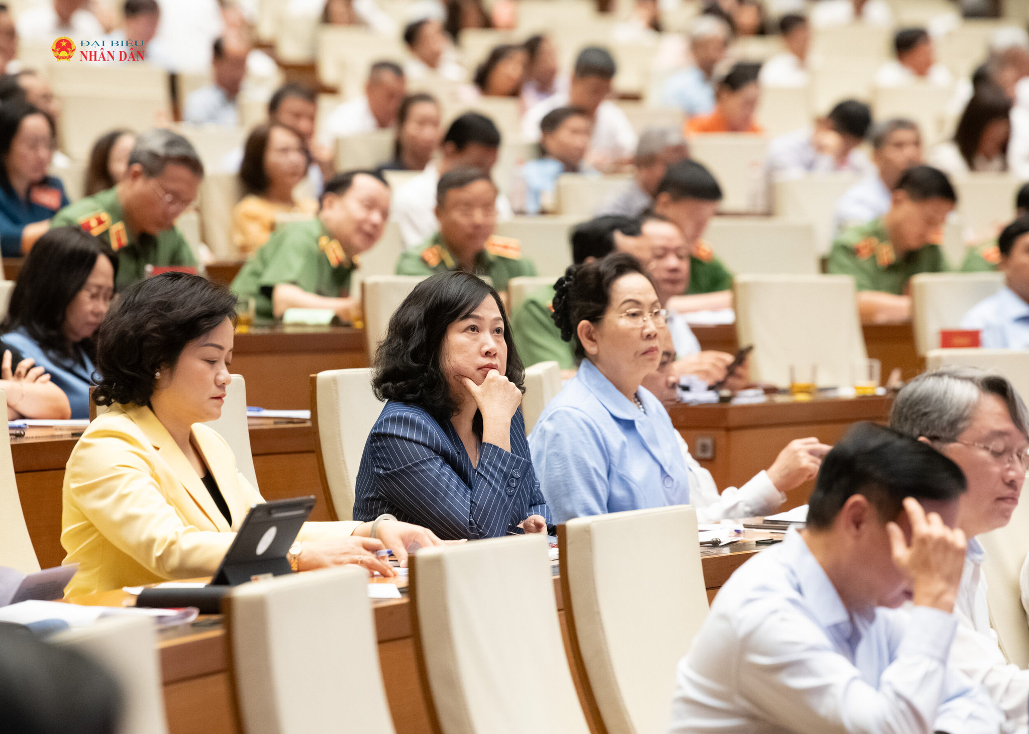 Các đại biểu tham dự hội nghị