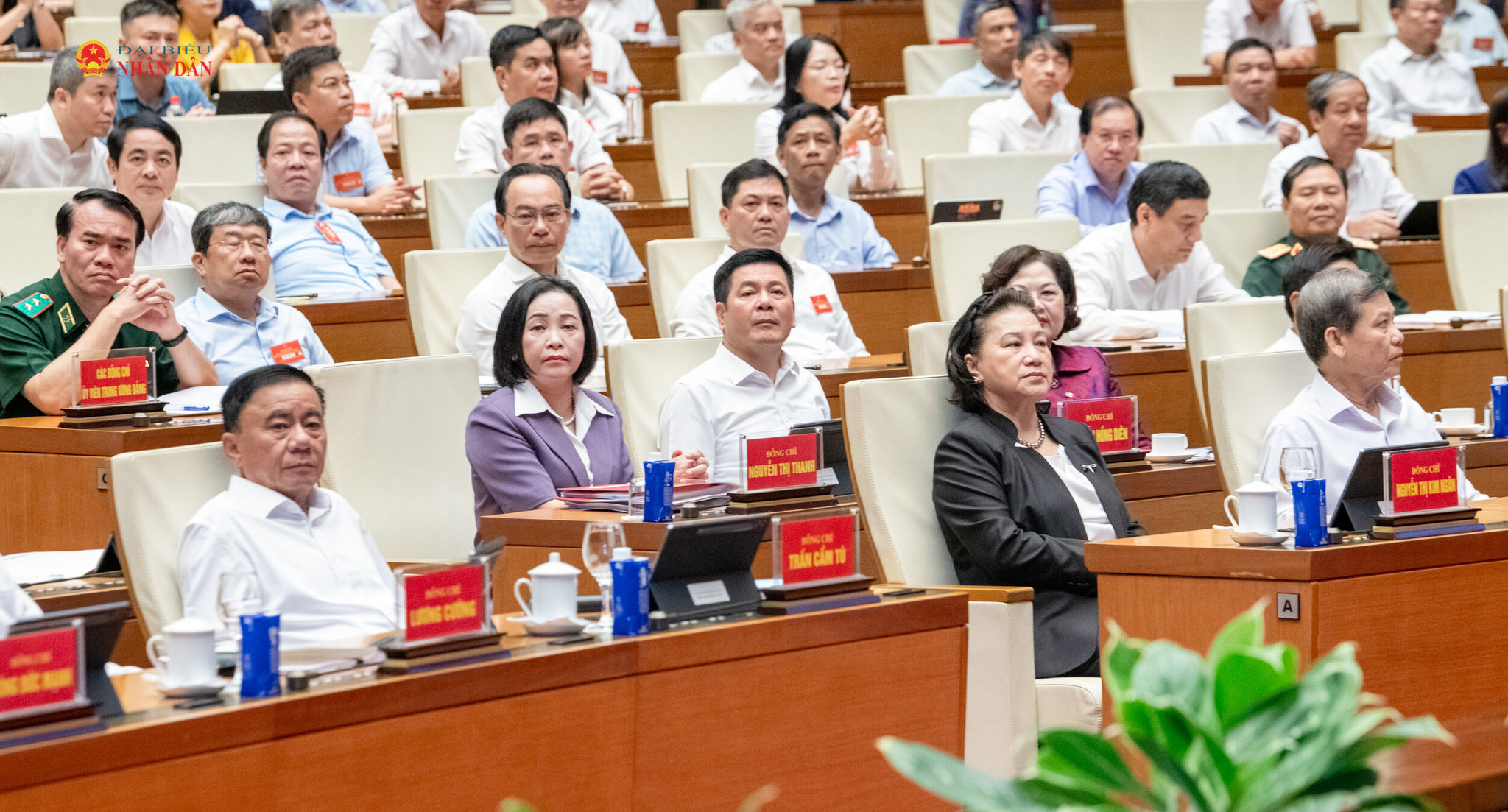 Các đại biểu dự hội nghị