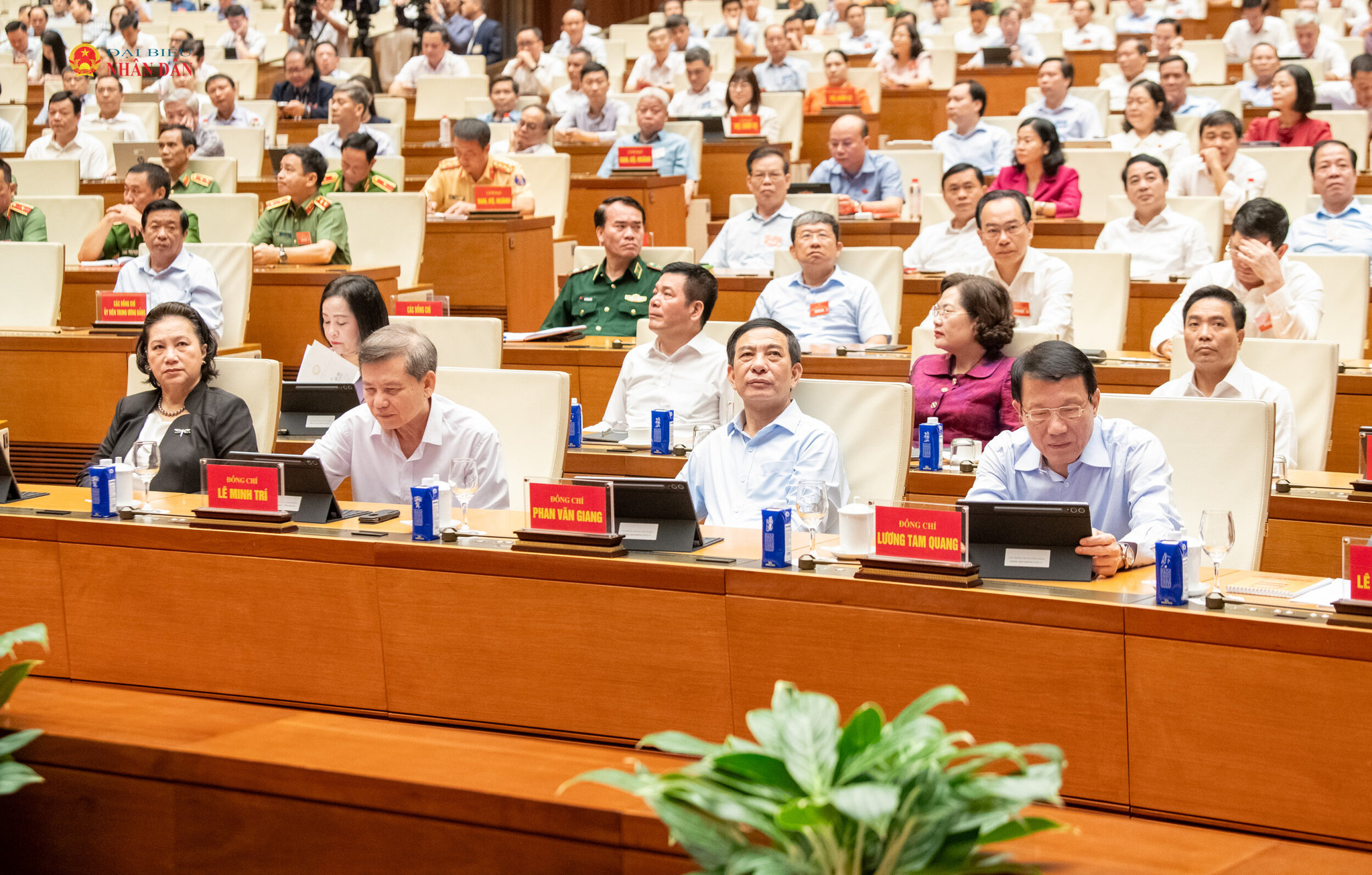 Các đại biểu dự hội nghị