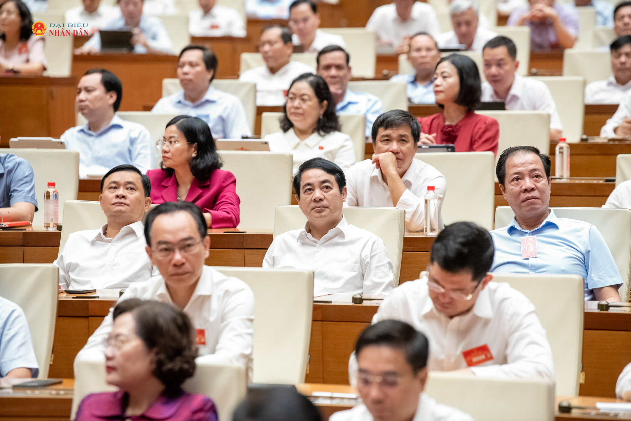 Các đại biểu dự hội nghị