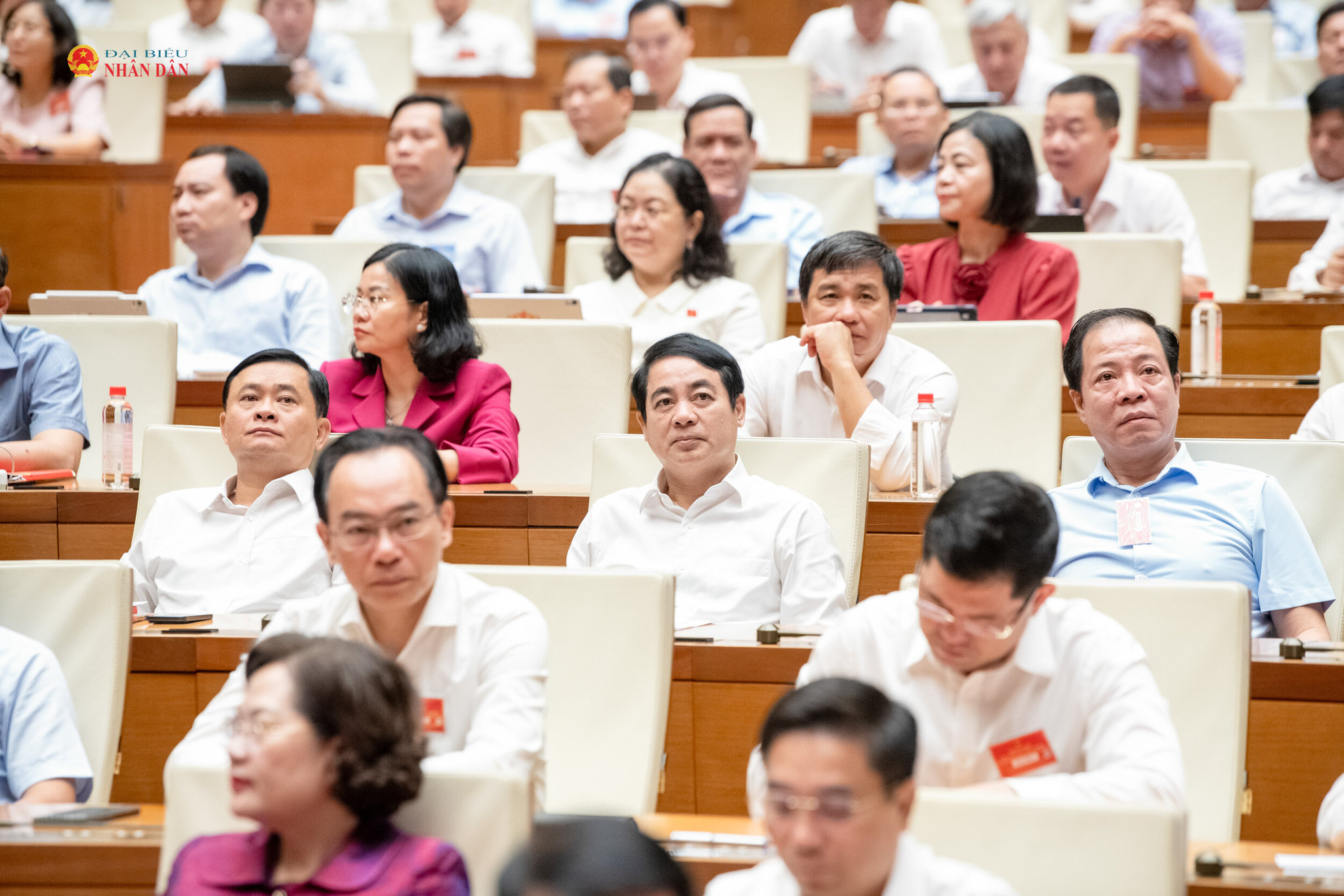Các đại biểu dự hội nghị