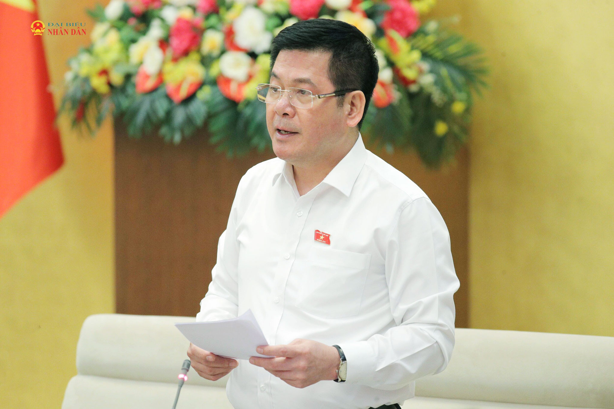 Phó Chủ tịch Quốc hội Nguyễn Hồng Diên phát biểu