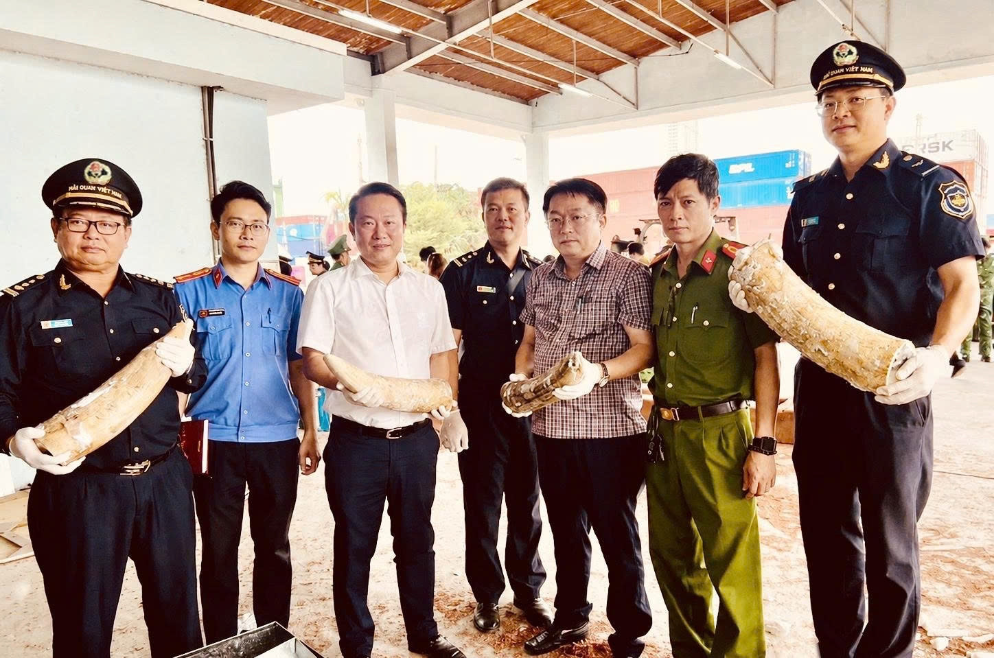 Lực lượng Hải quan phối hợp Công an và các đơn vị chức năng phát hiện 1.193 kg ngà voi cùng 79,3 kg xương động vật trong 3 container khai báo là gỗ xẻ, cập cảng Quy Nhơn