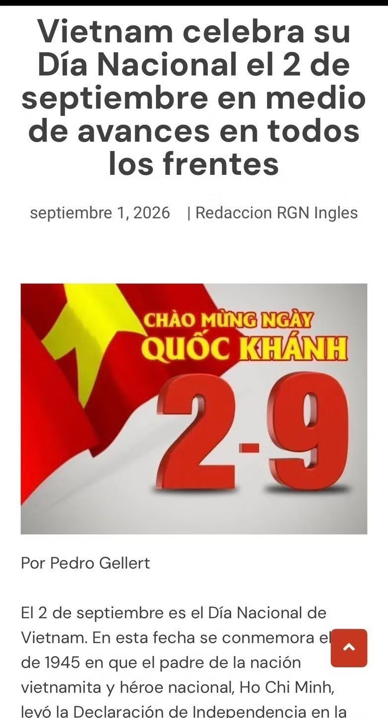 The article by Pedro Gellert (Photo: Screenshot)