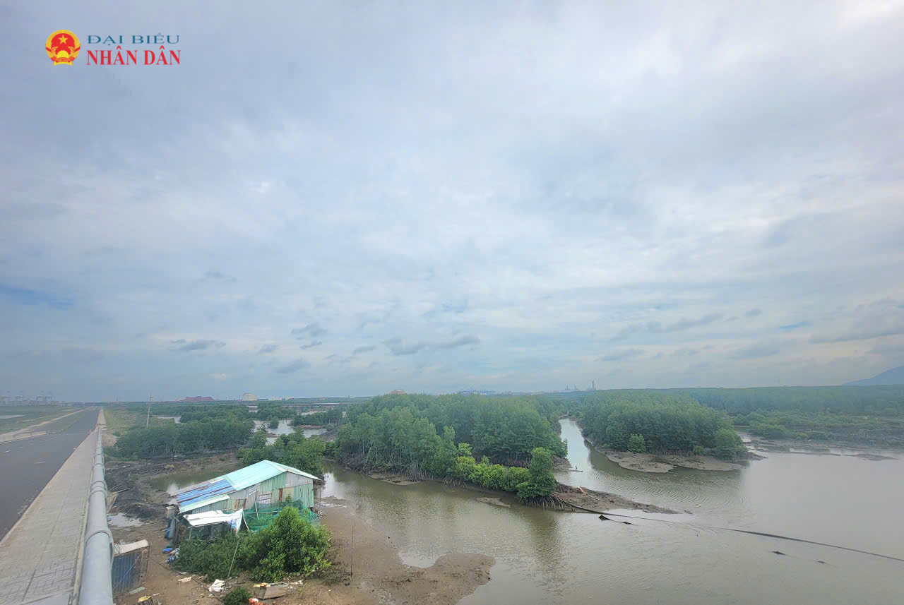 TP. Hồ Chí Minh giao Sở Nông nghiệp và Môi trường xử lý nghiêm các dự án chậm tiến độ, chậm đưa đất vào sử dụng. Trong ảnh, khu vực một số dự án bãi container trên địa bàn TP. Phú Mỹ cũ chậm tiến độ